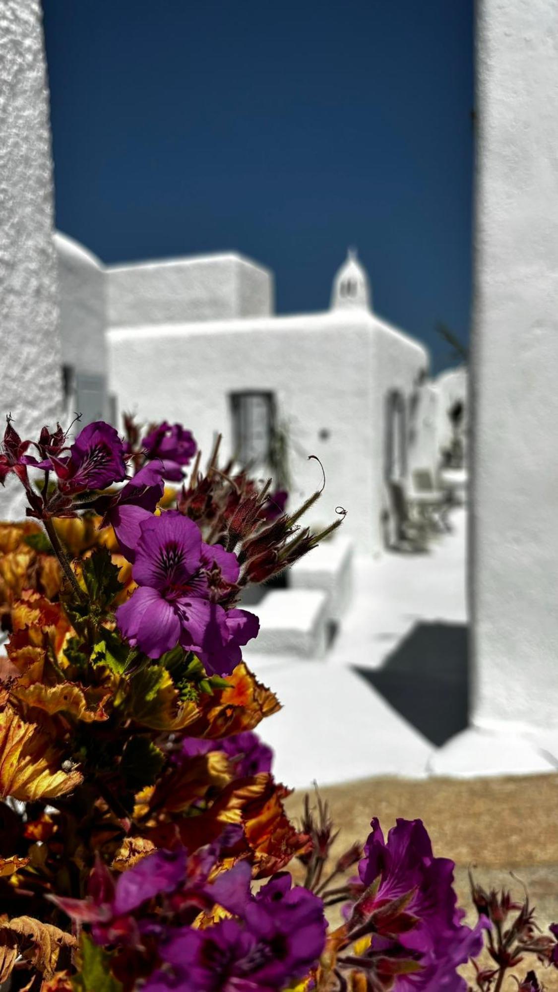 Vougli View Mykonos Hotel Drafaki ภายนอก รูปภาพ
