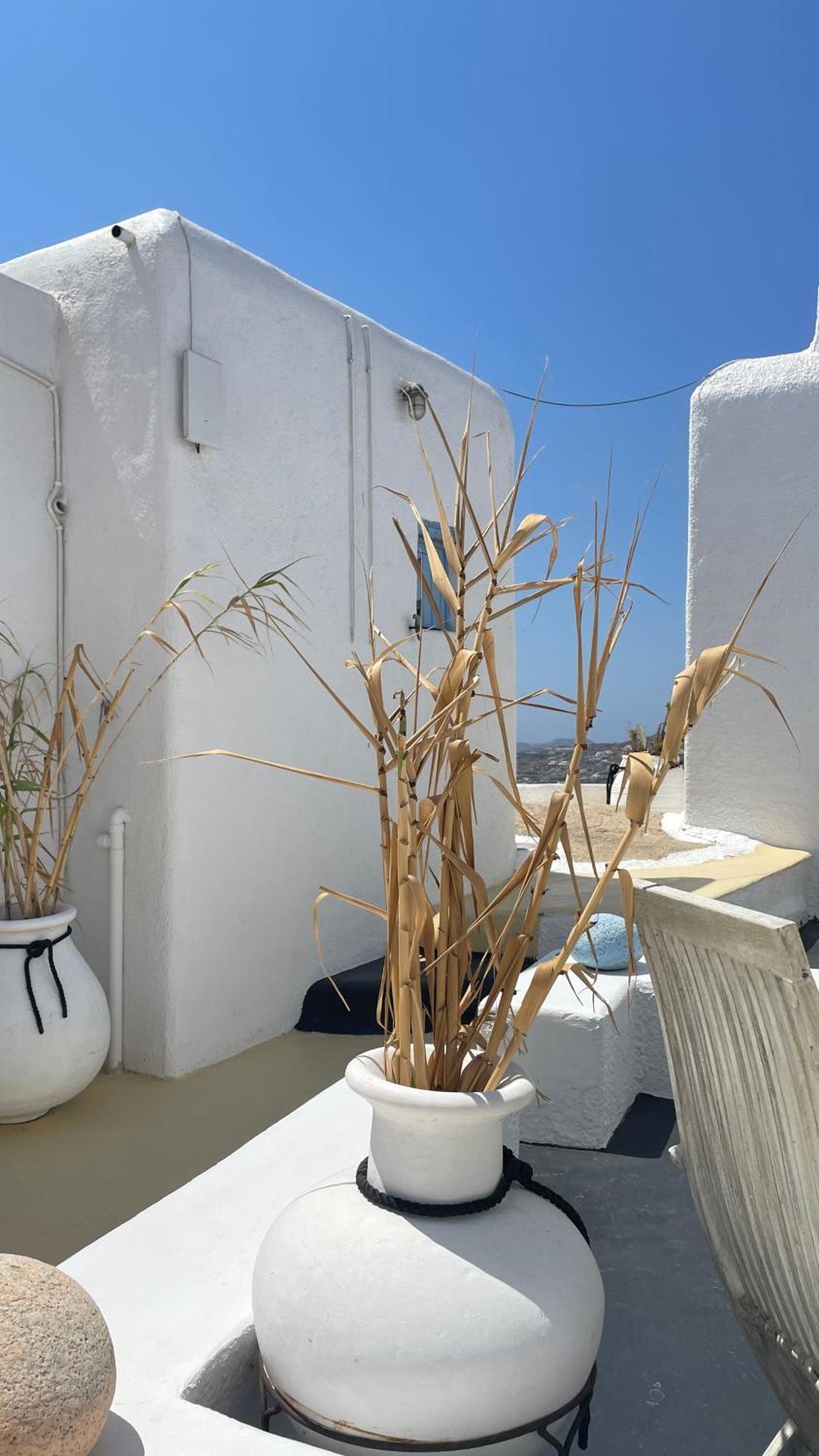 Vougli View Mykonos Hotel Drafaki ภายนอก รูปภาพ